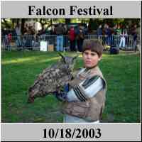 Falcon Festival - Central Park - NYC