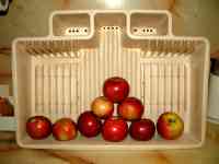 060208 Apples in my drainboard